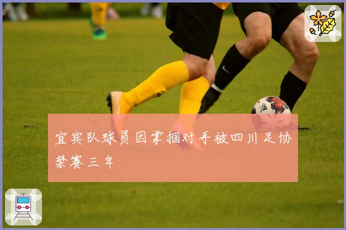 宜宾队球员因掌掴对手被四川足协禁赛三年